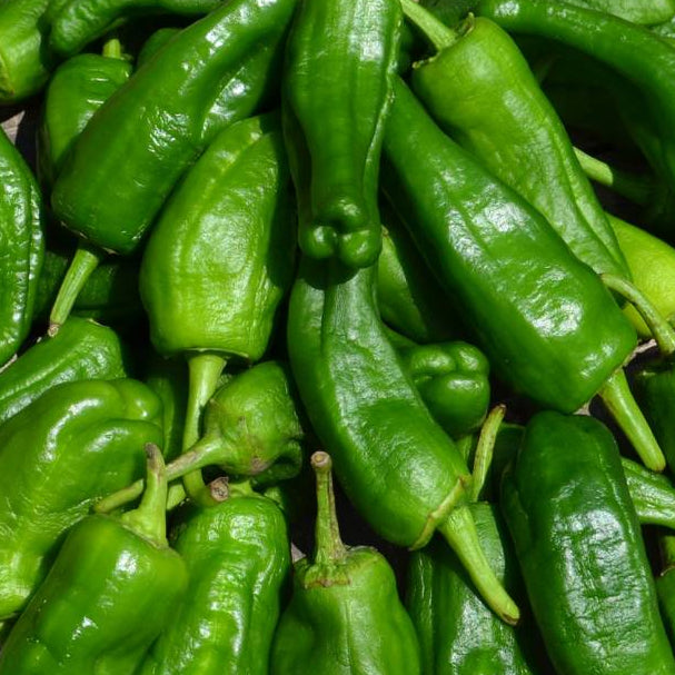 Piment Del Padrone (kg)
