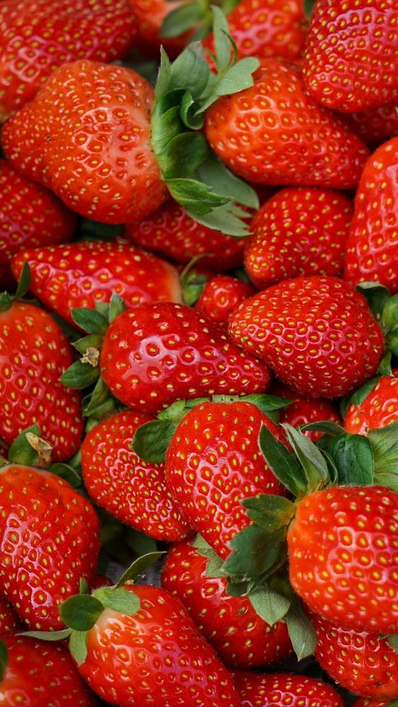 Fraise Charlotte