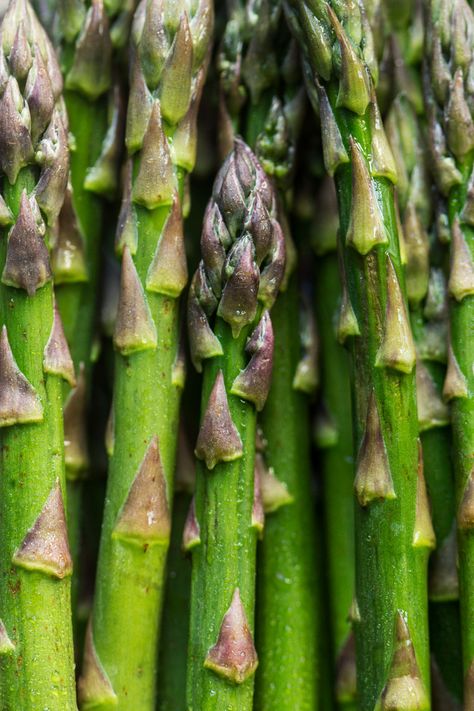 Asperge Verte Française +22