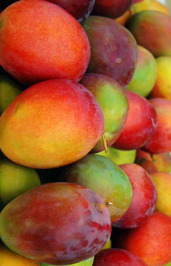 Mangue Bateau pièce