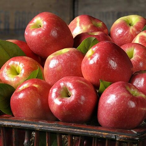 Pomme Pink Lady Kg