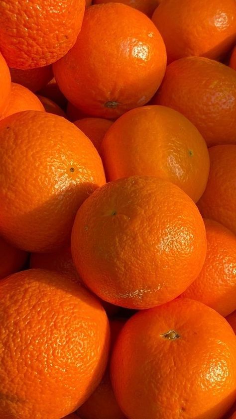 Orange à Jus Kg