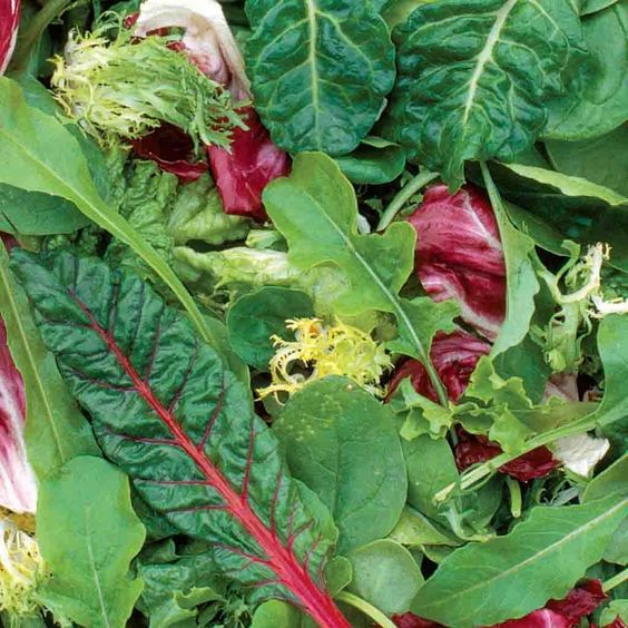 Mesclun Sachet 500 Gr