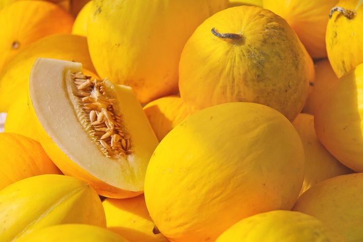 Melon Jaune pièce