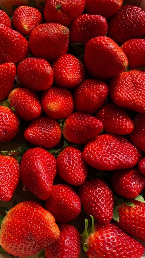 Fraise Gariguette Extra