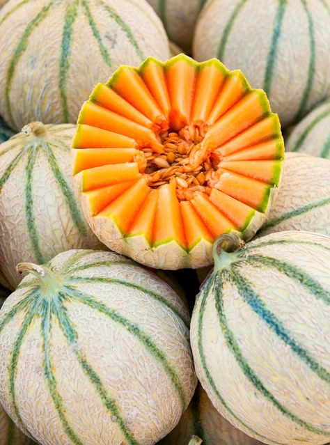 Melon Charentais pièce
