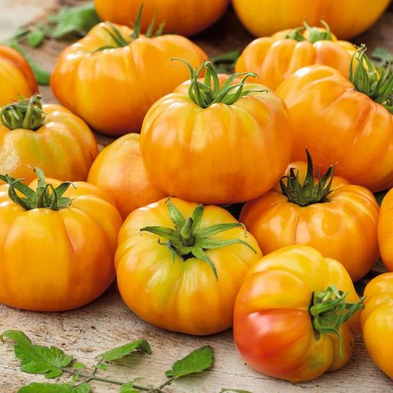 Tomates Ananas ( 500 Gr )