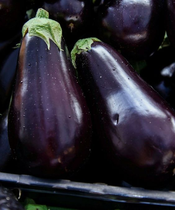 Aubergine Kg