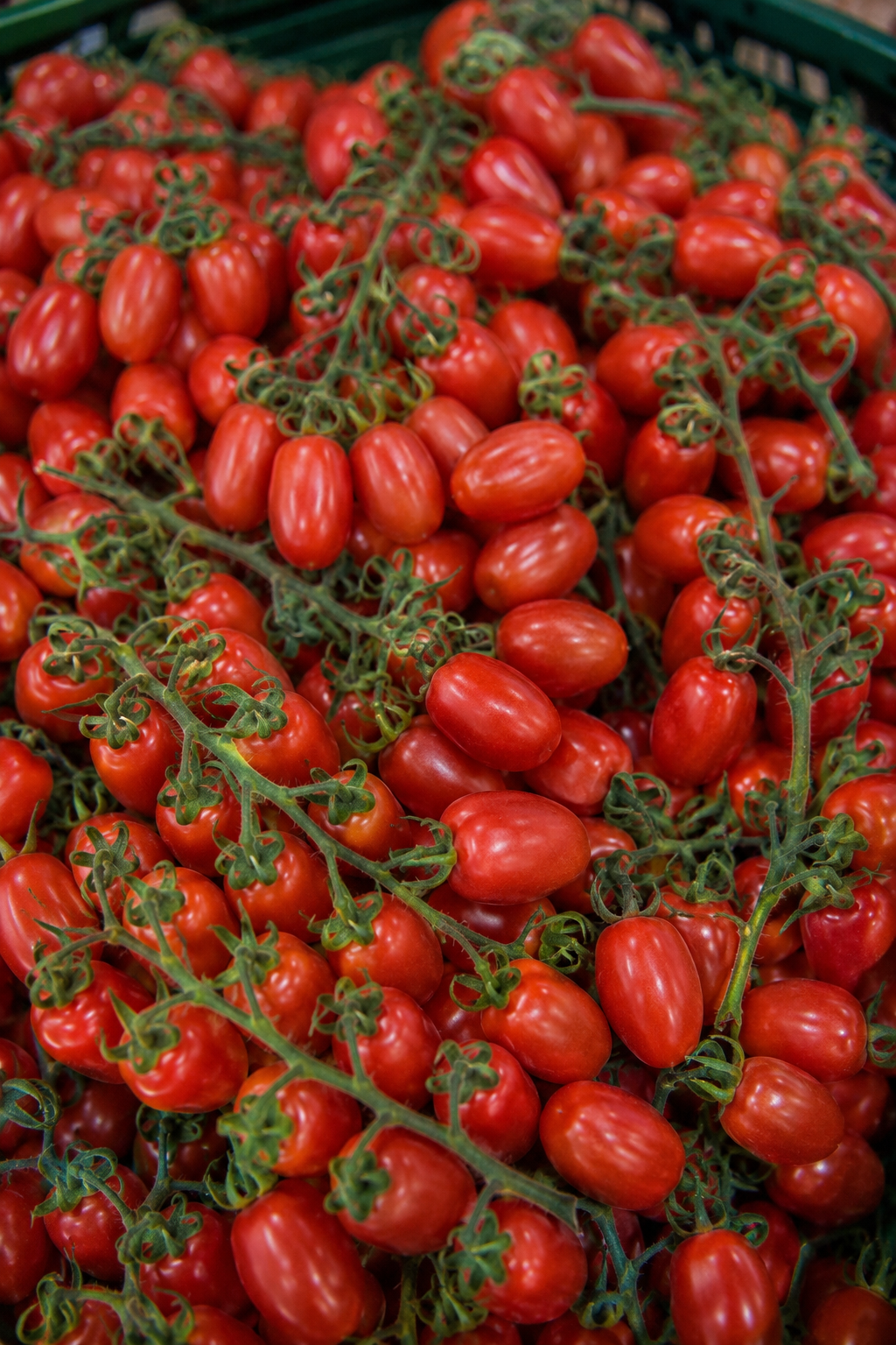 Tomate Datterino Sicile (500 g)