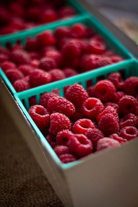 Framboise tulameen Barquette Ouverte