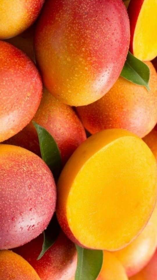 Mangue Avion Kent pièce