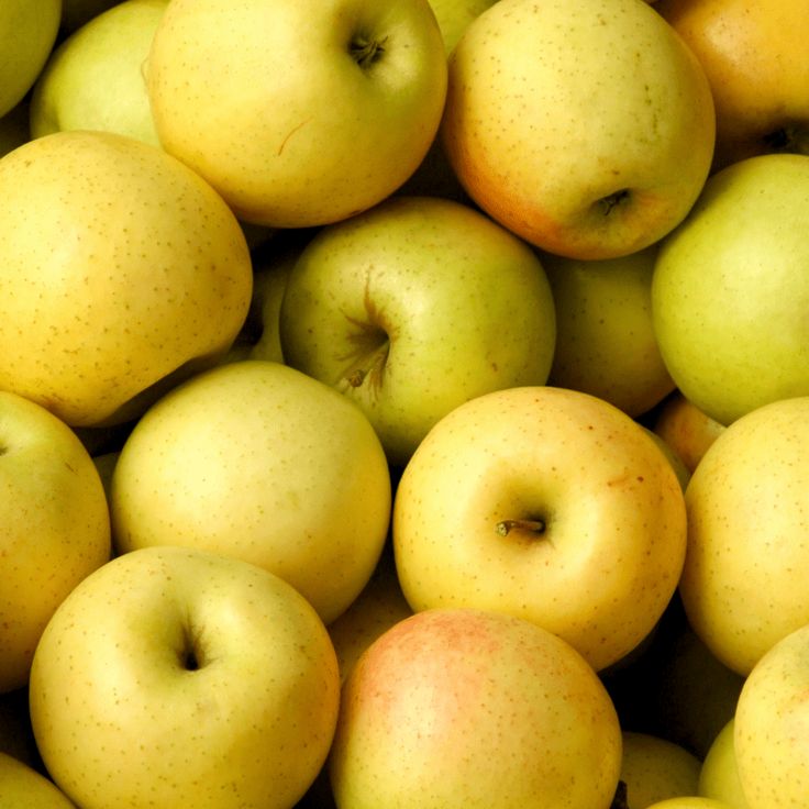 Pomme Golden Kg
