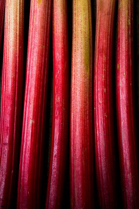 Rhubarbe Kg