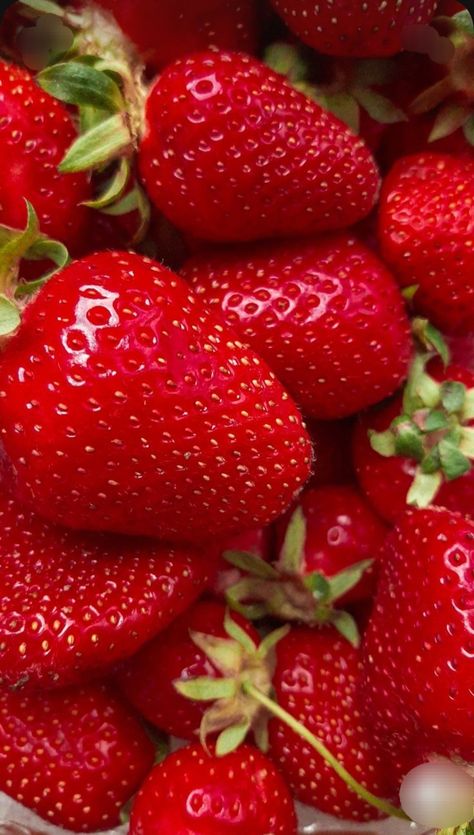 Fraise Clery