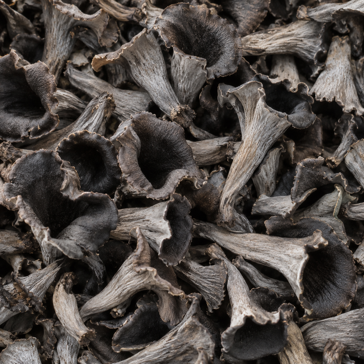 Champignon trompete (250g)