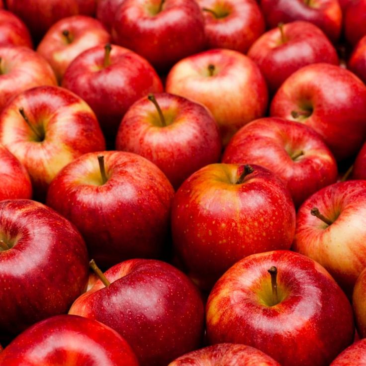 Pomme Royal Gala Kg