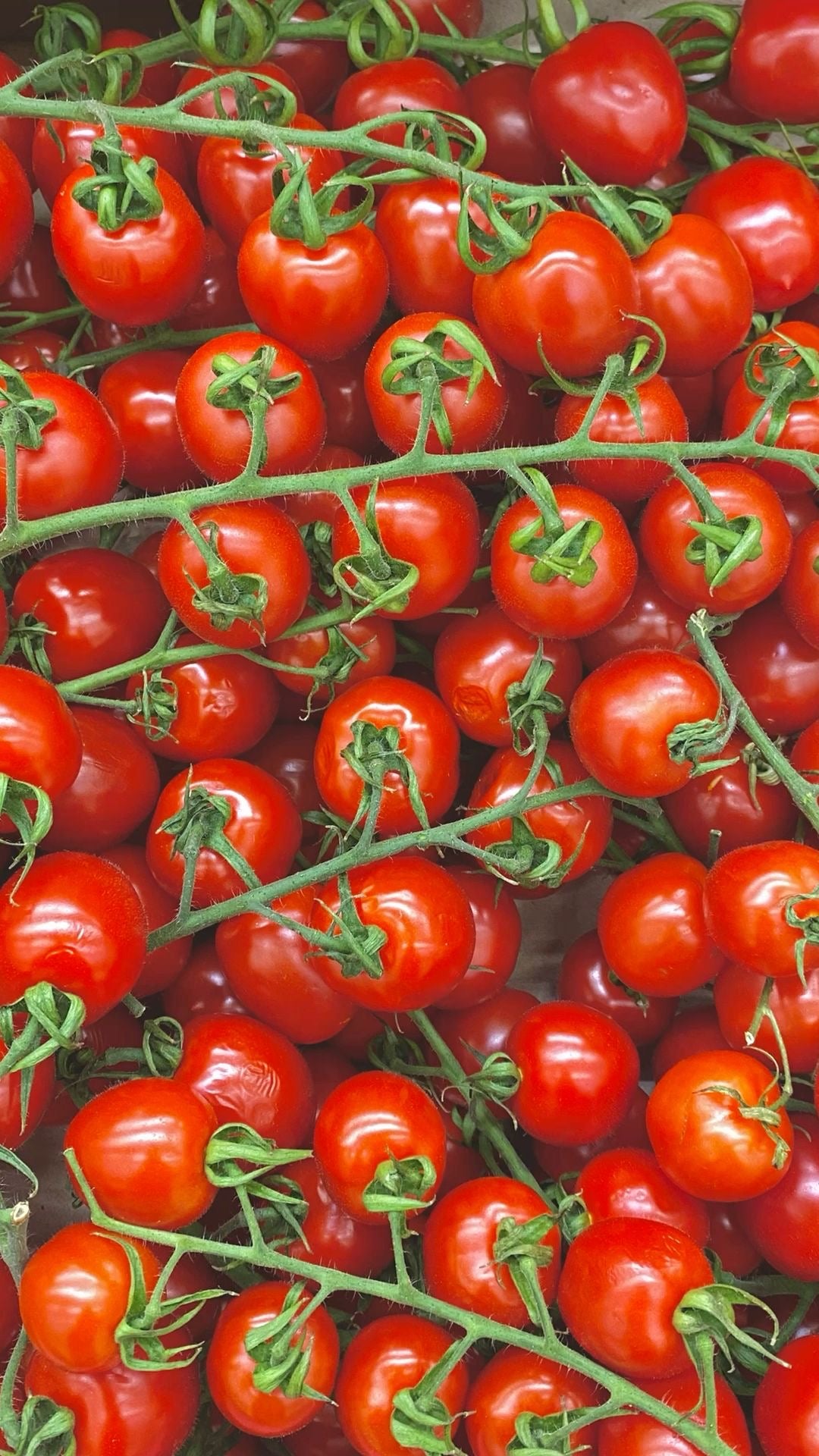 Tomates Cerise Grappe (500g)