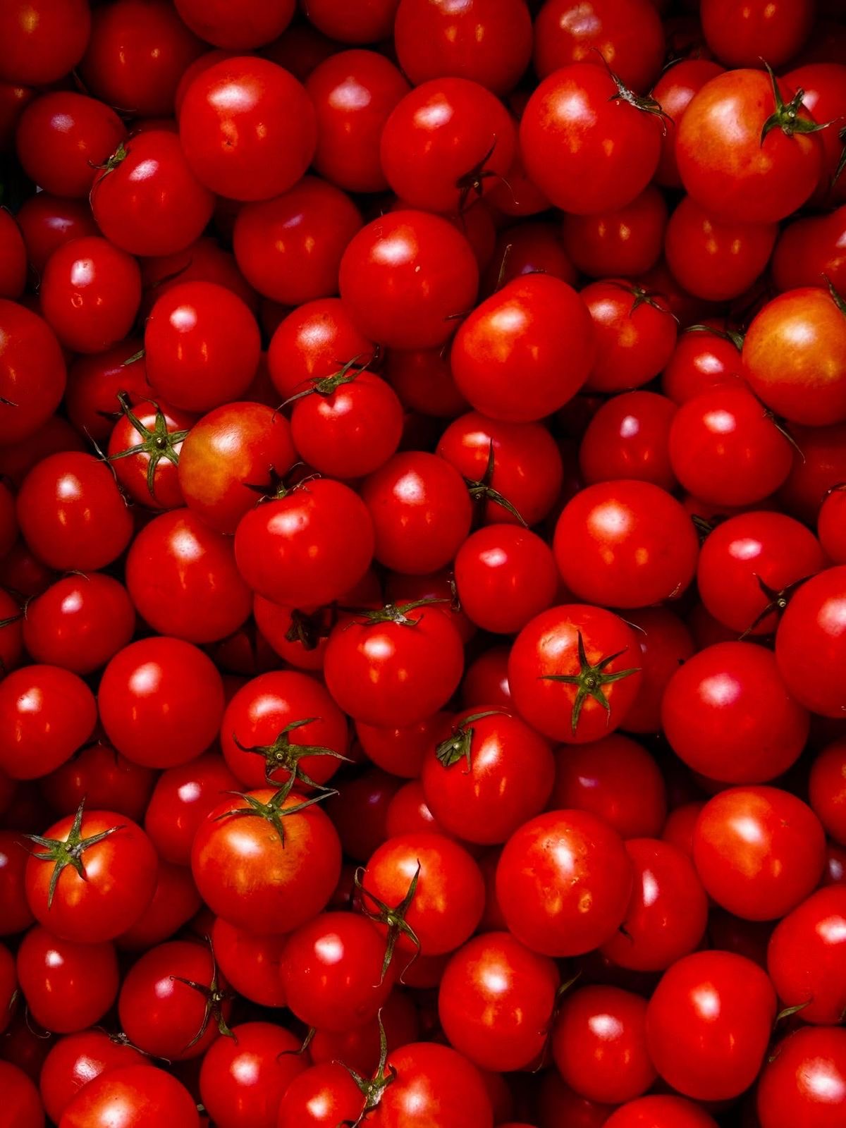 Tomates cerise rouge (250g)