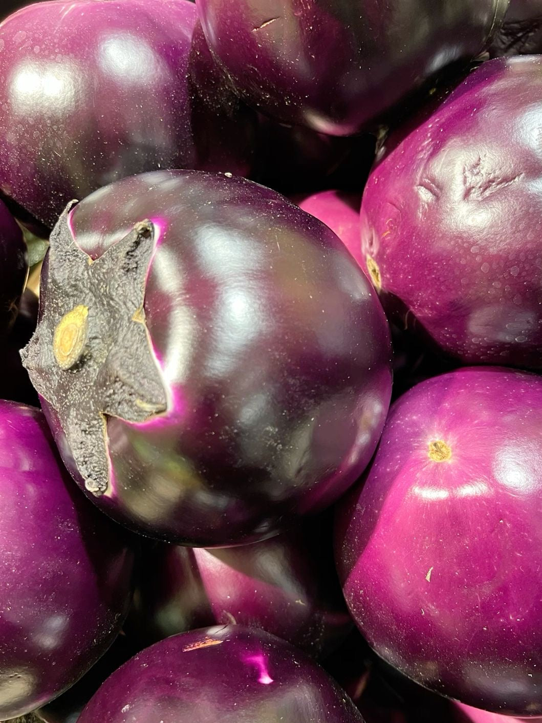 Aubergine Ronde Violette (pièce)