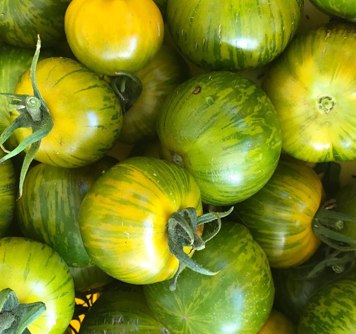 Tomates Green Zebra (500g)