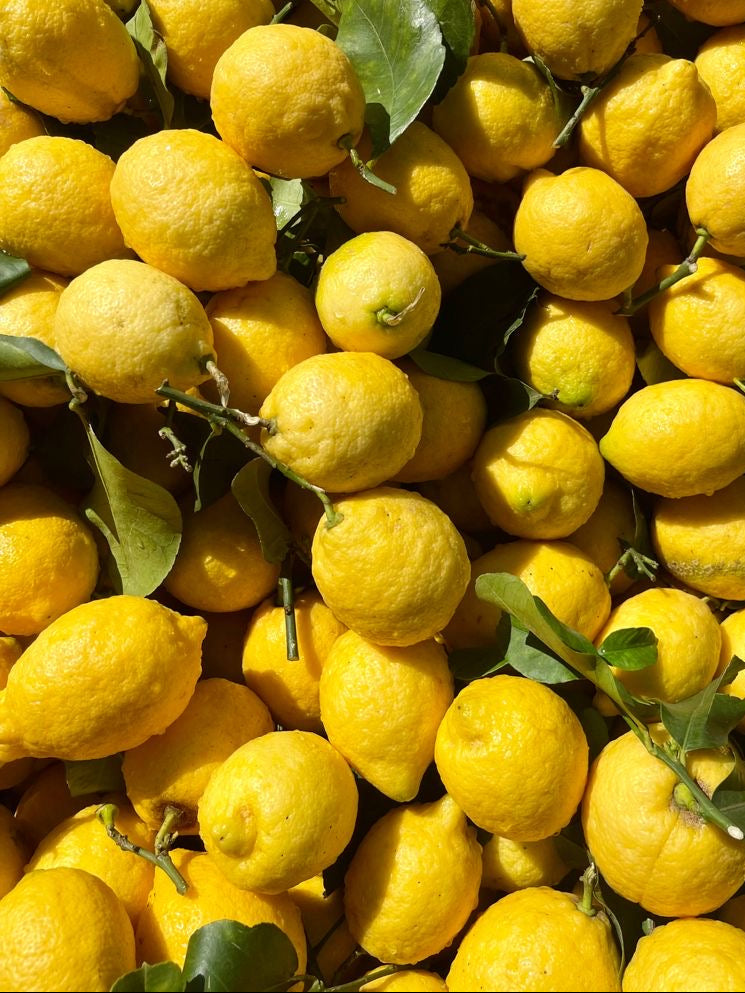 Citron Jaune Feuilles (kg)