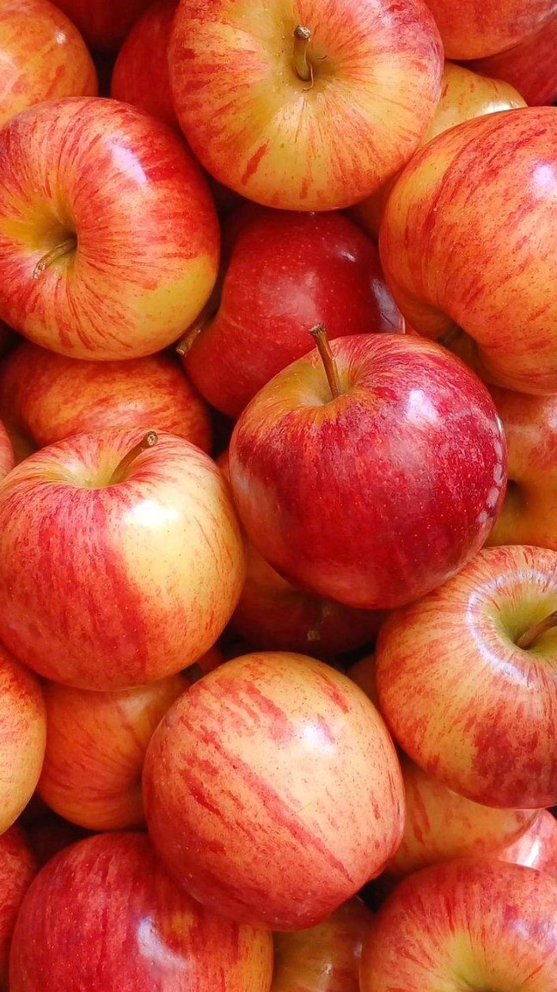 Pomme Royal Gala 70/75 2 Rangs (pièce)