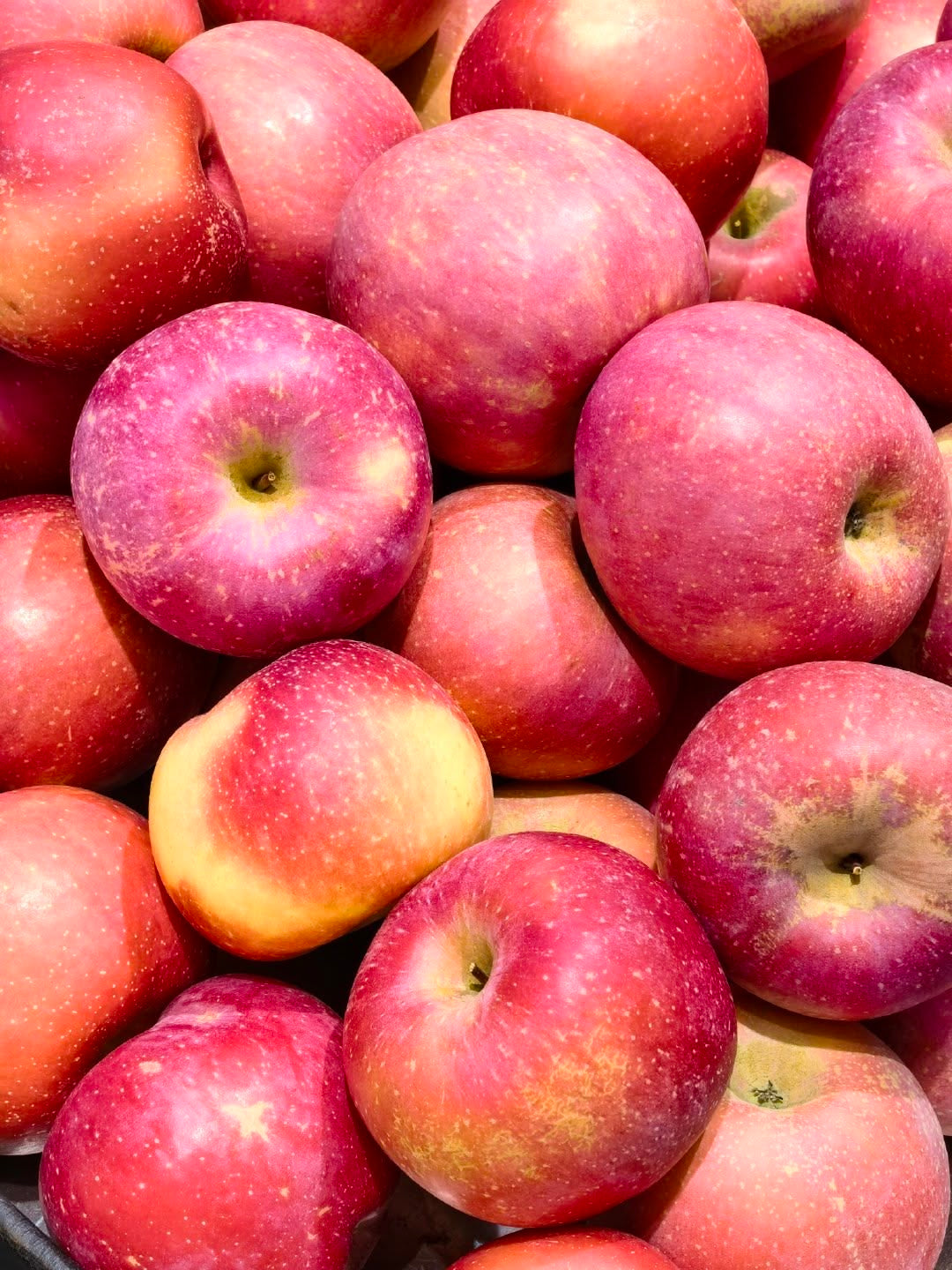 Pomme Pink Lady (kg)
