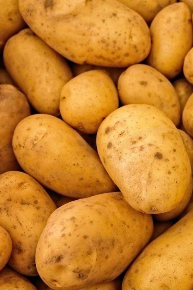 Pomme de terre charlotte Kg