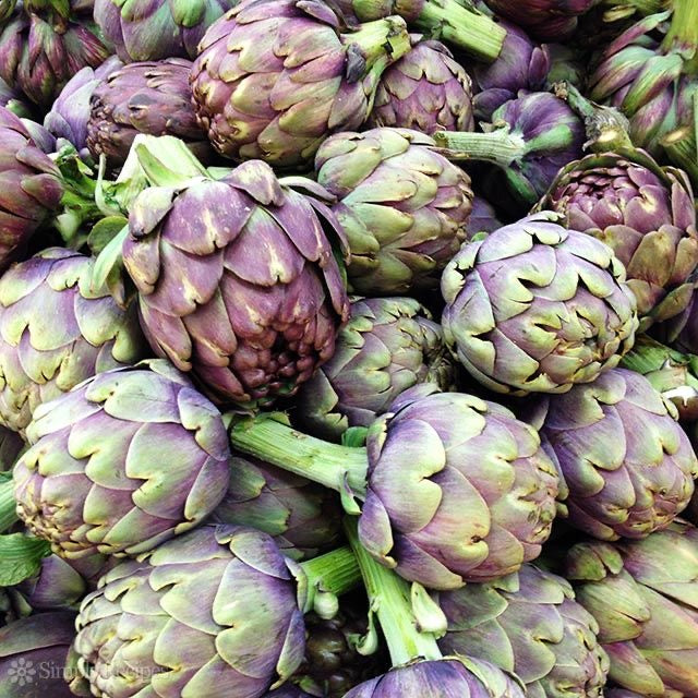 Artichaut Poivrade Violet Botte