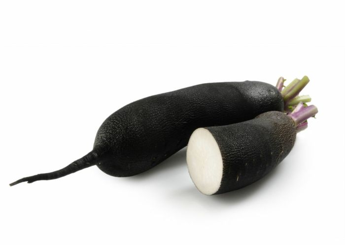Radis Noir