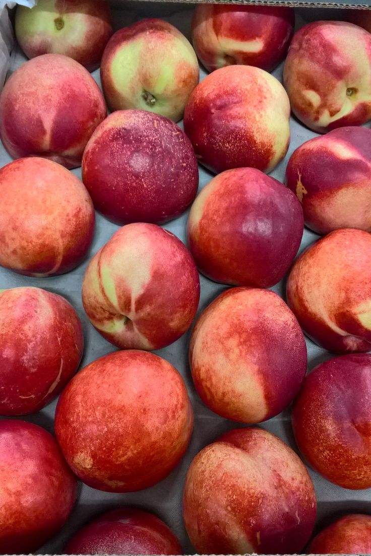 Nectarine Blanche Kg