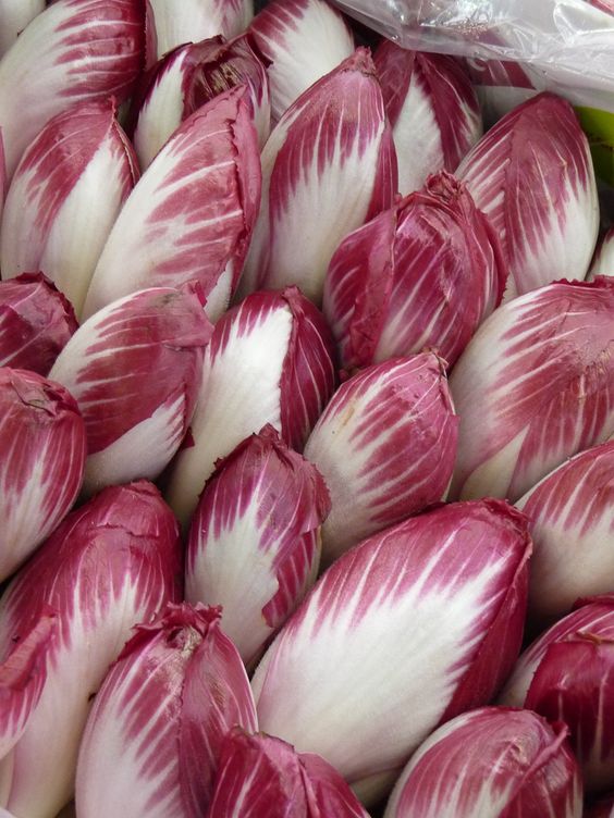 Endive Rouge ( 500 Gr )