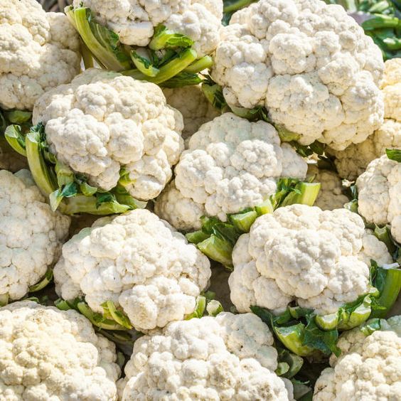 Chou Fleur pièce