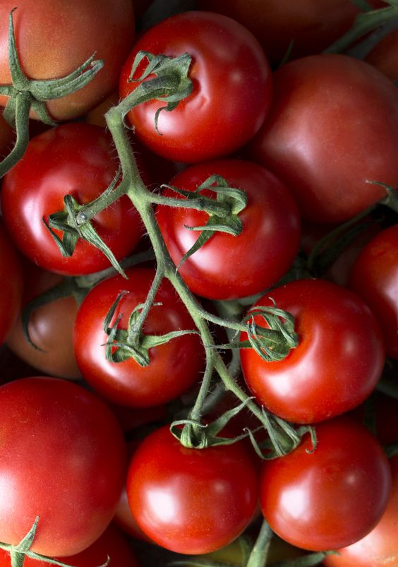 Tomates Grappe Rouge Kg