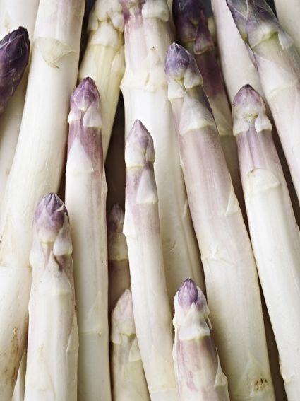 Asperge Blanche Française + 22 Kg