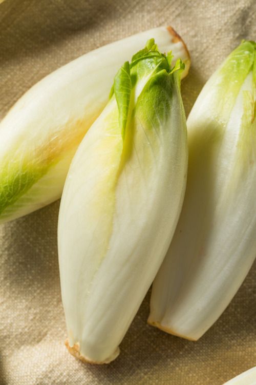 Endive Blanche Extra ( 500 GR )