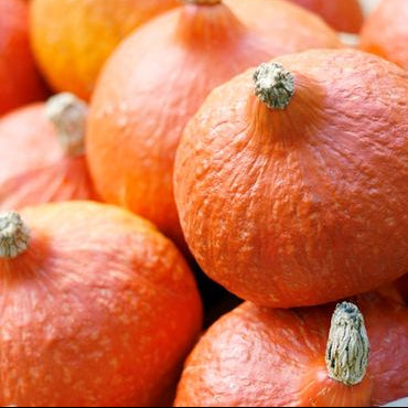Potimarron (pièce)