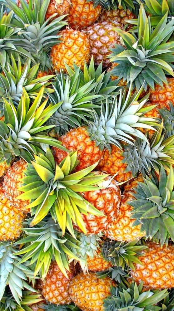 Ananas Victoria pièce