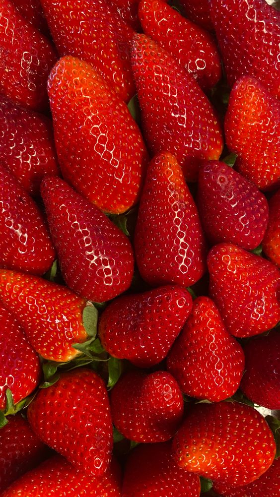 Fraise Ciflorette