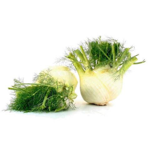Mini Fenouil barquette