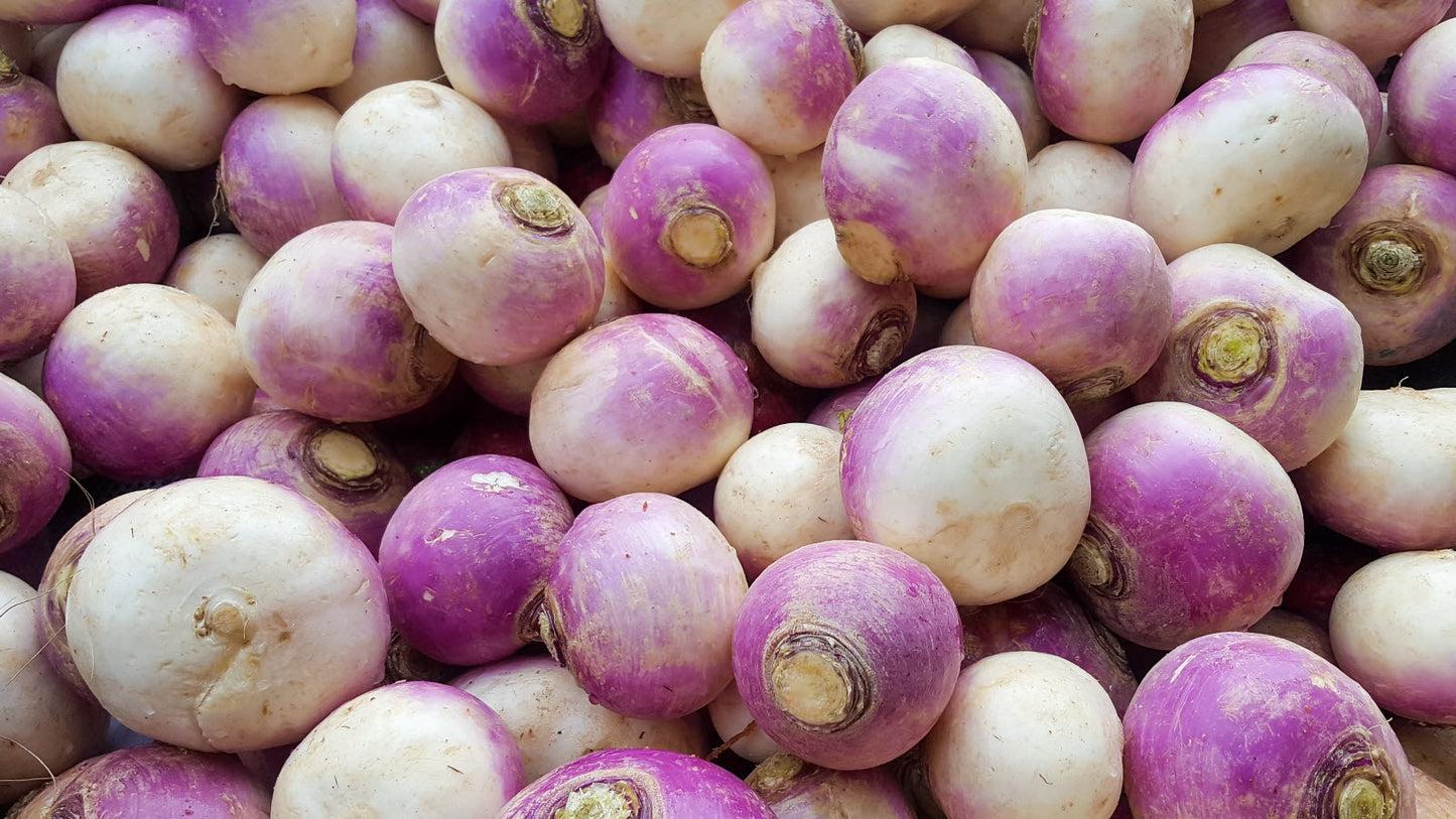 Navet Violet Kg