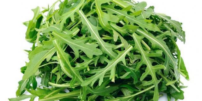 Roquette Sachet