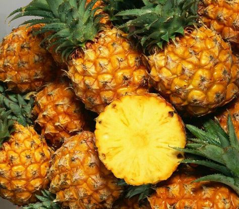 Ananas Bateau Cal 6/7 Afs