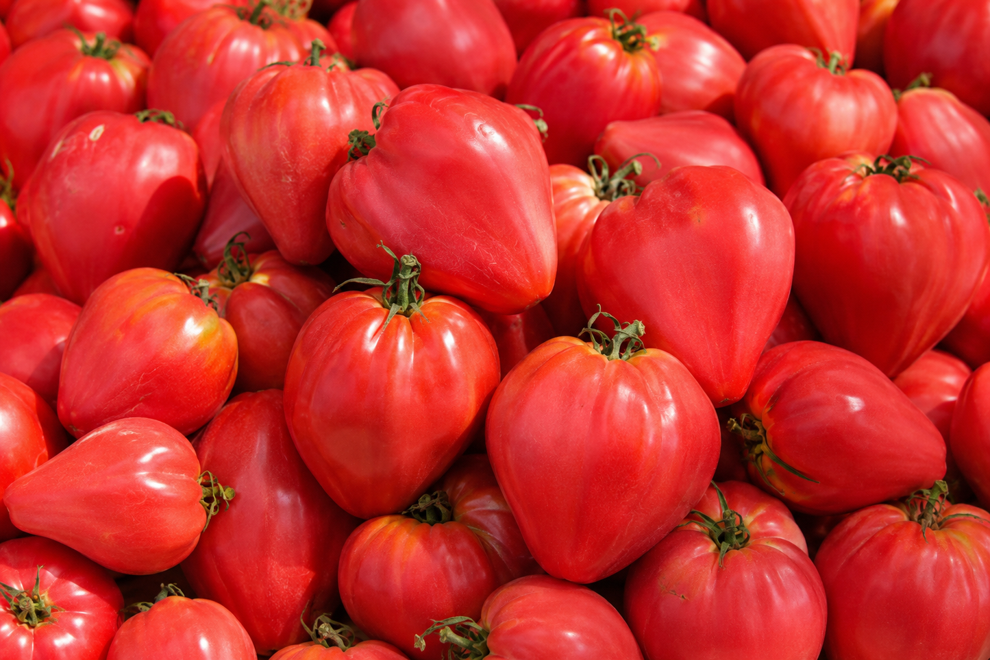 Tomates Coeur De Boeuf (500g)