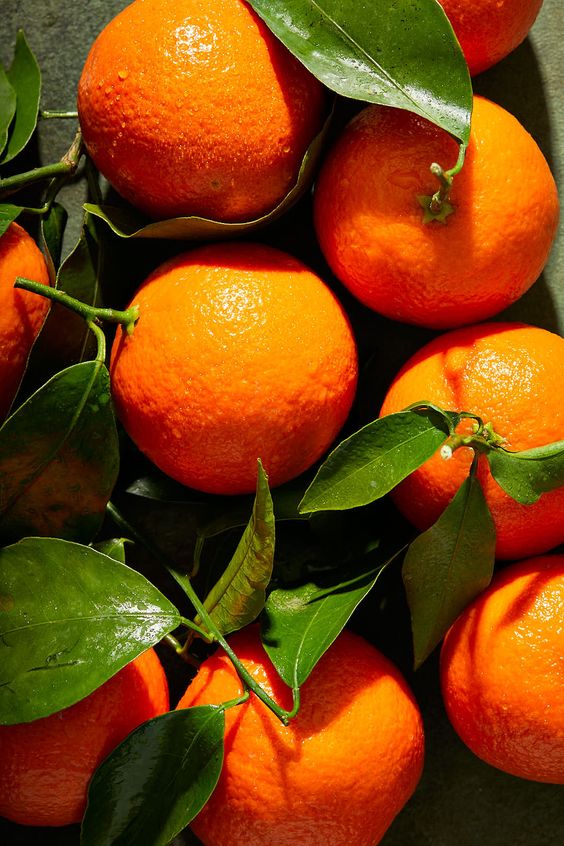 Orange Carte Feuille