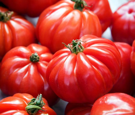 Tomates Marmande