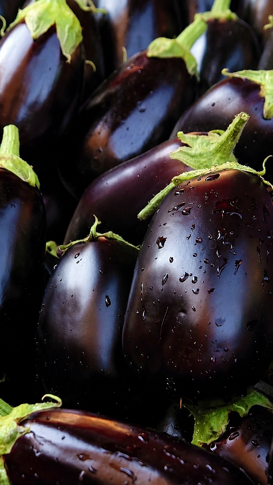 Aubergine (kg)