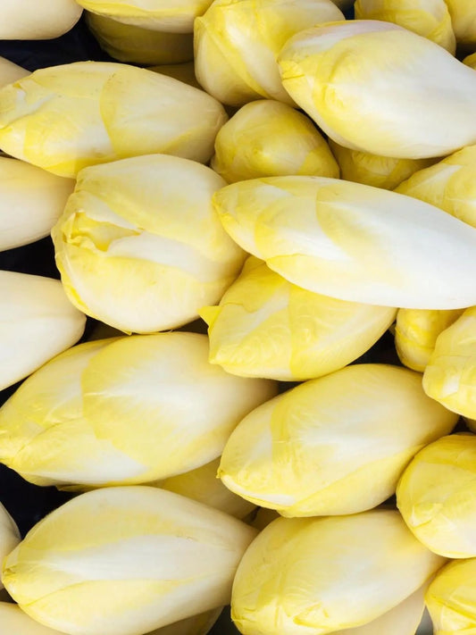 Endive Blanche Extra (500g)