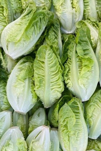 Romaine Coeur (2 pièces)