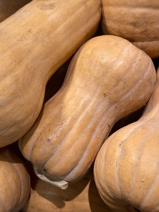 Butternut (pièce)